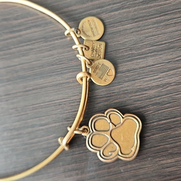Alex and Ani Paw Print Charm Bracelet - Picture 2 of 4